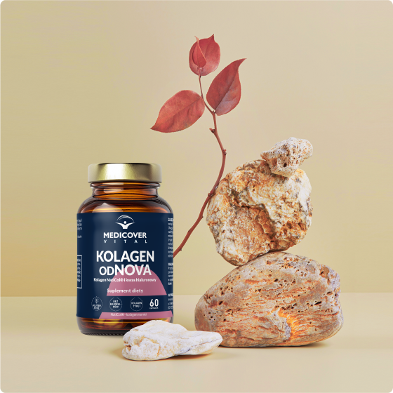 Kolagen Odnova opakowanie